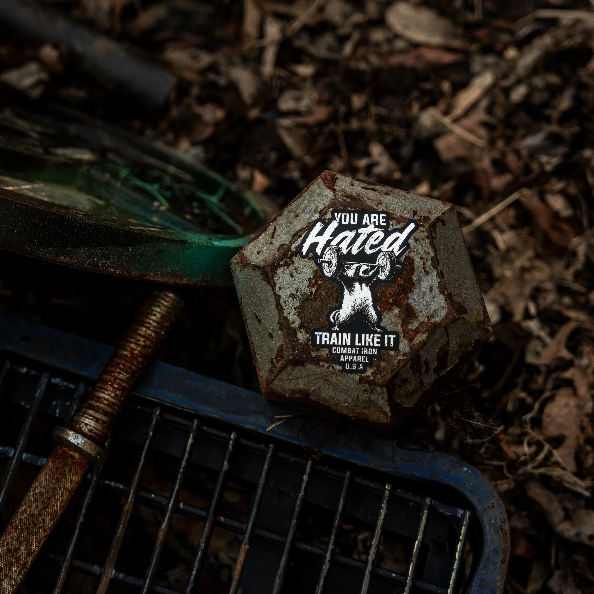 You Are Hated Train Like It Decal - Image 2